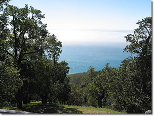 Photograph of another dramatic view of the Pacific Ocean, taken from the terrace at Nepenthe restaurant in Big Sur, California. Image copyright © Philip W. Tyo 2008