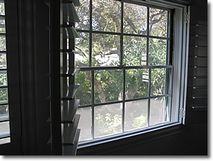Photograph looking out the window in room 203 at the oak tree in the courtyard below at the Normandy Inn. Image copyright © Philip W. Tyo 2008