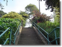 A photograph of a stairway into George Sterling Park in San Francisco, California.  Image copyright © Philip W. Tyo 2007