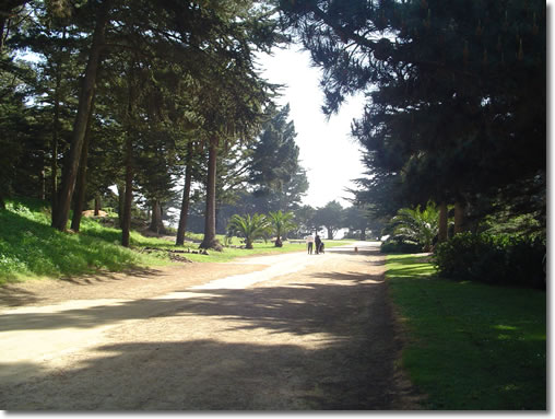 A photograph of the tree-lined entry into Sutro Heights Park in San Francisco, California.  Image copyright © Philip W. Tyo 2007