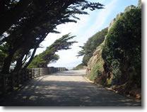 A photograph of a winding drive through Sutro Heights Park in San Francisco, California.  Image copyright © Philip W. Tyo 2007